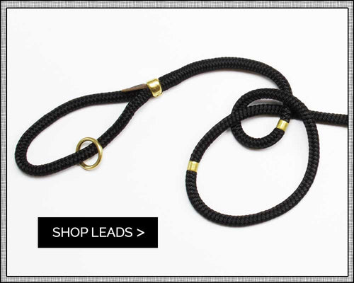 rope & brass dog leads & leashes | Sweet Beest