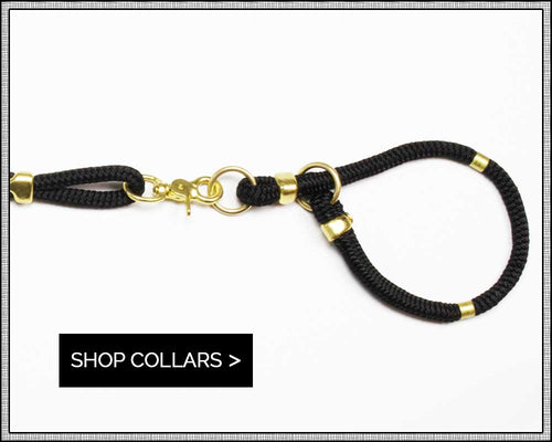 rope & brass dog collars | Sweet Beest