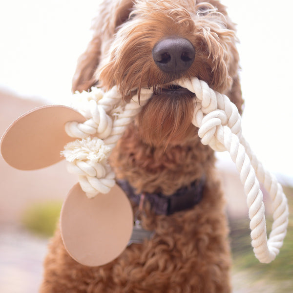 Natural Cotton Rope + Leather Tug Toy - The Biggie Kobe